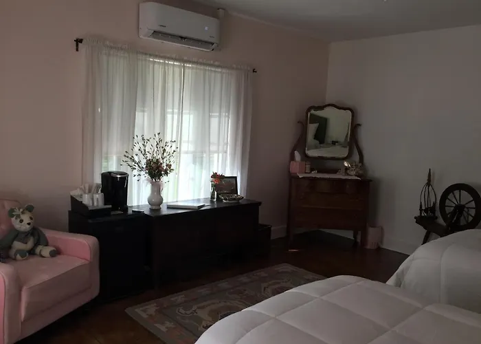 Casa Paloma 4*